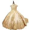 Retro Palace Princess Dress for Kids Formal Ball Gown with Tail Lace for Birthday Performance or Wedding for Children
