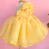 Princess Dress for Baby Girls Floral Beaded Chiffon Dress with Competitive Price Made in Vietnam OEM ODM for Children