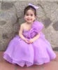 Princess Dress for Baby Girls Floral Beaded Chiffon Dress with Competitive Price Made in Vietnam OEM ODM for Children