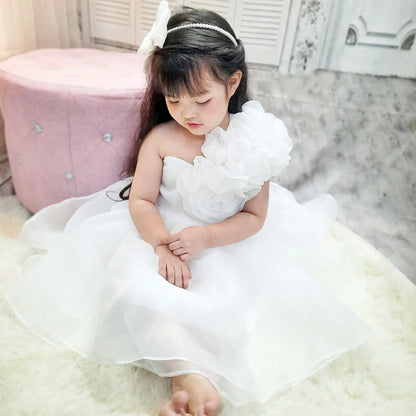 Princess Dress for Baby Girls Floral Beaded Chiffon Dress with Competitive Price Made in Vietnam OEM ODM for Children