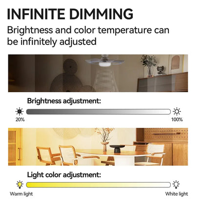 Dingdian 52CM 6 Blade LED Fan Light Easy Install Modern ABS Ceiling Fan Light for Livingroom Decorative Indoor Remote Control